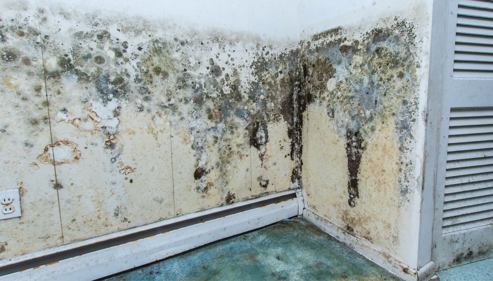 Professional mold removal, odor control, and water damage restoration service in St Louis, Missouri.