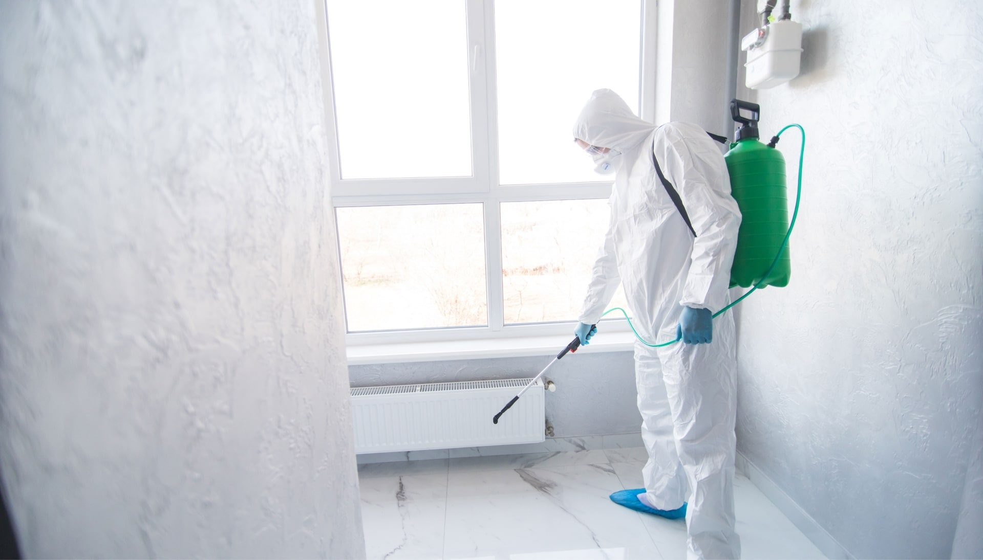 We provide the highest-quality mold inspection, testing, and removal services in the St Louis, Missouri area.